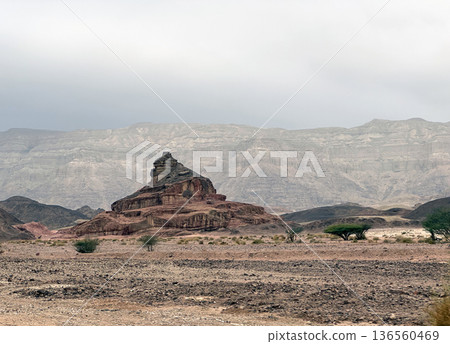Mount Pyramid in Timna Park in southern Israel 136560469