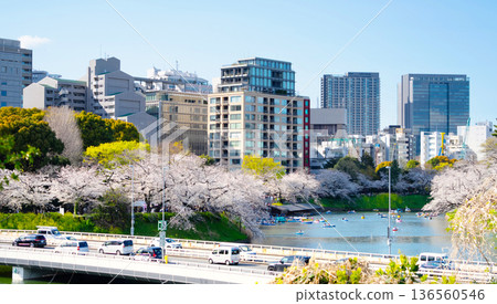 Spring in Tokyo with cherry blossoms in full bloom at Chidorigafuchi, Imperial Palace Outer Garden Spring in Tokyo with cherry blossoms in full bloom at Chidorigafuchi, Imperial Palace Outer Garden 136560546