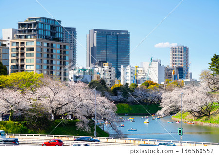 Spring in Tokyo with cherry blossoms in full bloom Spring in Tokyo with cherry blossoms in full bloom 136560552