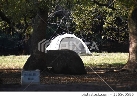 週末的時候,我會在附近的公園搭起帳篷,放鬆一下。 週末的時候,我會在附近的公園搭起帳篷,放鬆一下。 136560596