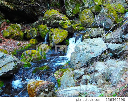 川紀山的清澈溪流 川紀山的清澈溪流 136560598
