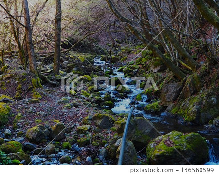 川紀山的清澈溪流 川紀山的清澈溪流 136560599