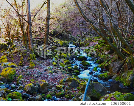 川紀山的清澈溪流 川紀山的清澈溪流 136560601