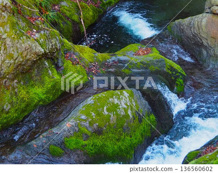 川紀山的清澈溪流 川紀山的清澈溪流 136560602