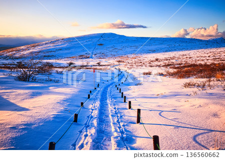 Kirigamine Plateau in the Yatsugatake Mountain Range at sunset covered with snow 136560662