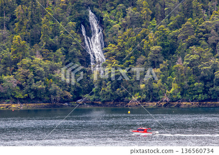 Fiordland National Park 136560734