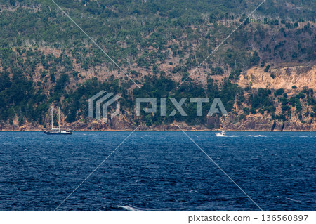 Coral sea Coral sea 136560897