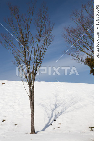 形成雪 136561009