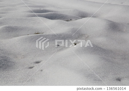 形成雪 形成雪 136561014