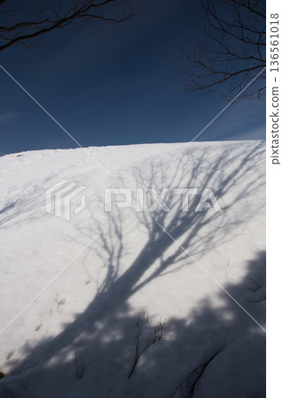 Formation of snow Formation of snow 136561018