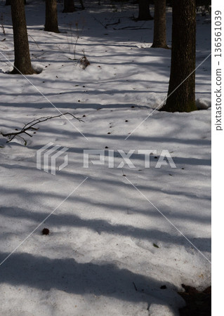 Formation of snow Formation of snow 136561039