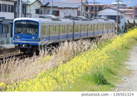 大雄山線沿線道路及列車 大雄山線沿線道路及列車 136561324