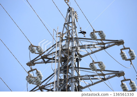 Tower of crow's nest 136561330