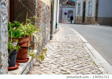 Houseplants in rustic Algarve Portugal town doorway mosaic cobblestone sidewalk Houseplants in rustic Algarve Portugal town doorway mosaic cobblestone sidewalk 136561721