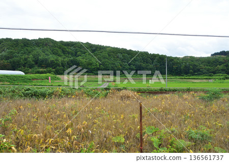 JR Hokkaido Hakodate Main Line: Scenery from the window of a local train from Kutchan Station to Konbu Station (Summer rain, 2023) JR Hokkaido Hakodate Main Line: Scenery from the window of a local train from Kutchan Station to Konbu Station (Summer rain, 2023) 136561737