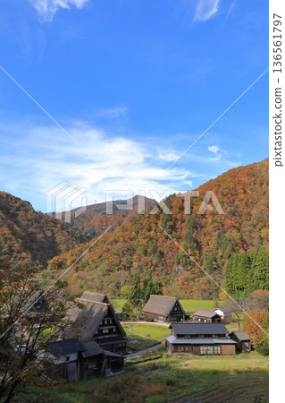 Autumn foliage at Suganuma Gassho-style Village in Gokayama (Nanto City, Toyama Prefecture) Autumn foliage at Suganuma Gassho-style Village in Gokayama (Nanto City, Toyama Prefecture) 136561797