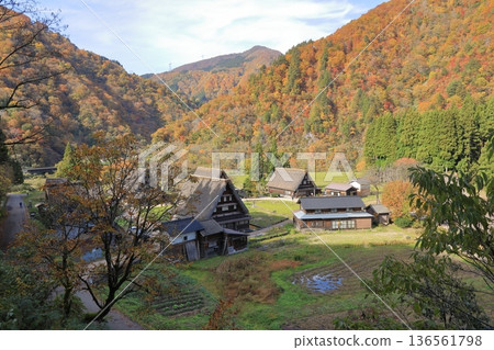 Autumn foliage at Suganuma Gassho-style Village in Gokayama (Nanto City, Toyama Prefecture) Autumn foliage at Suganuma Gassho-style Village in Gokayama (Nanto City, Toyama Prefecture) 136561798