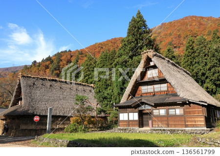 Autumn foliage at Suganuma Gassho-style Village in Gokayama (Nanto City, Toyama Prefecture) Autumn foliage at Suganuma Gassho-style Village in Gokayama (Nanto City, Toyama Prefecture) 136561799