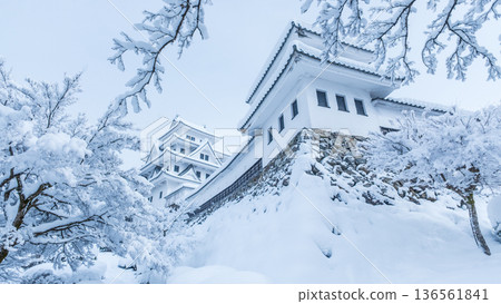 郡上八幡城（冬季） 136561841