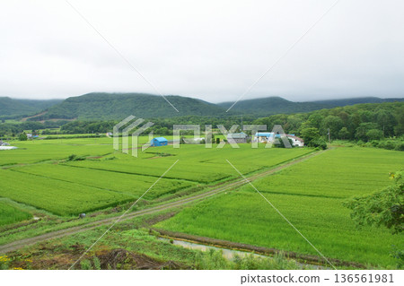 JR Hokkaido Hakodate Main Line: Scenery from the window of a local train from Konbu Station to Netsumi Station (Summer rain, 2023) 136561981