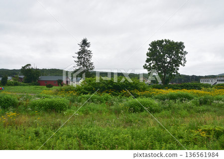 JR北海道函館本線:從昆布站到涅津見站的普通列車車窗外景色(2023年夏雨) JR北海道函館本線:從昆布站到涅津見站的普通列車車窗外景色(2023年夏雨) 136561984