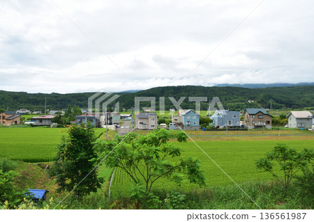JR Hokkaido Hakodate Main Line: Scenery from the window of a local train from Konbu Station to Netsumi Station (Summer rain, 2023) JR Hokkaido Hakodate Main Line: Scenery from the window of a local train from Konbu Station to Netsumi Station (Summer rain, 2023) 136561987