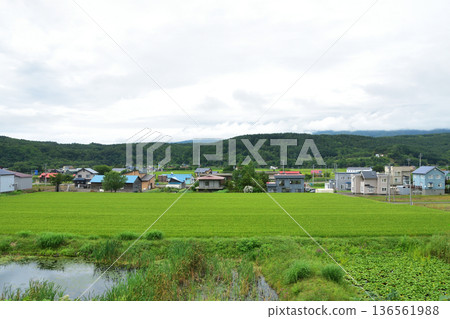 JR Hokkaido Hakodate Main Line: Scenery from the window of a local train from Konbu Station to Netsumi Station (Summer rain, 2023) JR Hokkaido Hakodate Main Line: Scenery from the window of a local train from Konbu Station to Netsumi Station (Summer rain, 2023) 136561988
