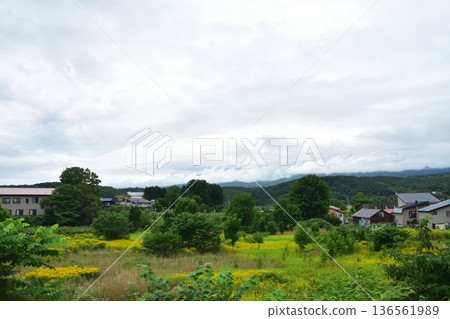 JR Hokkaido Hakodate Main Line: Scenery from the window of a local train from Konbu Station to Netsumi Station (Summer rain, 2023) JR Hokkaido Hakodate Main Line: Scenery from the window of a local train from Konbu Station to Netsumi Station (Summer rain, 2023) 136561989