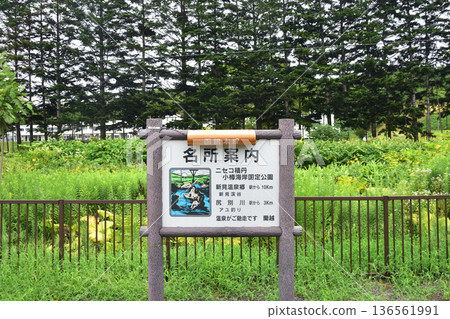 JR Hokkaido Hakodate Main Line: Scenery from the window of a local train from Konbu Station to Netsumi Station (Summer rain, 2023) 136561991