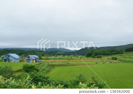 JR Hokkaido Hakodate Main Line: Scenery from the window of a local train from Konbu Station to Netsumi Station (Summer rain, 2023) 136562000