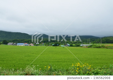 JR Hokkaido Hakodate Main Line: Scenery from the window of a local train from Konbu Station to Netsumi Station (Summer rain, 2023) JR Hokkaido Hakodate Main Line: Scenery from the window of a local train from Konbu Station to Netsumi Station (Summer rain, 2023) 136562008