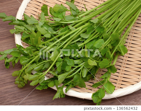 生芹菜 生芹菜 136562432