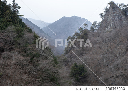 The snow-covered winter scenery of Okuchichibu's silent mountains and dead trees 136562630
