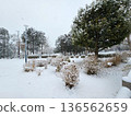 Park on a snowy day 136562659