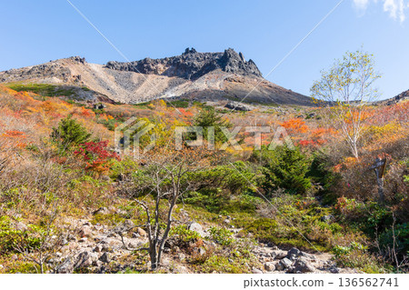 栃木縣那鬚町的秋景。日本百岳之一。那須山（秋葵山）上的秋葉。宇笠平。 136562741