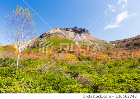 栃木縣那鬚町的秋景。日本百岳之一。那須山（秋葵山）上的秋葉。宇笠平。 136562748