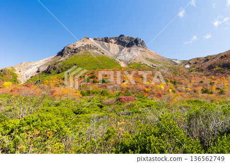 栃木縣那鬚町的秋景。日本百岳之一。那須山（秋葵山）上的秋葉。宇笠平。 136562749