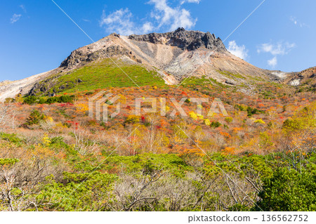 栃木縣那鬚町的秋景。日本百岳之一。那須山（秋葵山）上的秋葉。宇笠平。 136562752