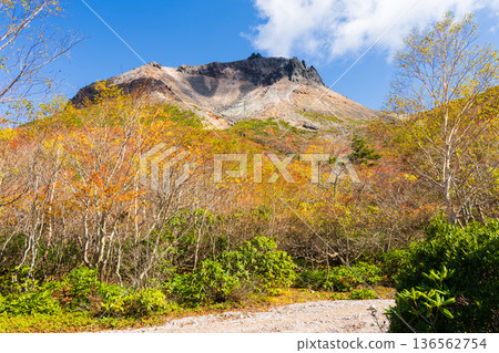 栃木縣那鬚町的秋景。日本百岳之一。那須山（秋葵山）上的秋葉。宇笠平。 136562754