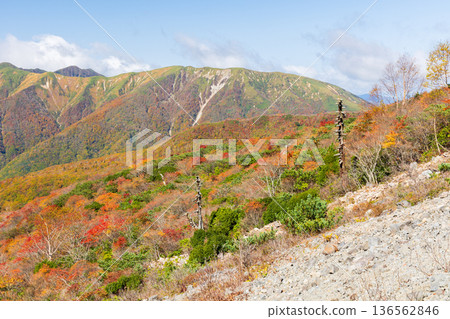 栃木縣那鬚町的秋景。日本百岳之一。那須山(秋葵山)上的秋葉。宇笠平。 栃木縣那鬚町的秋景。日本百岳之一。那須山(秋葵山)上的秋葉。宇笠平。 136562846