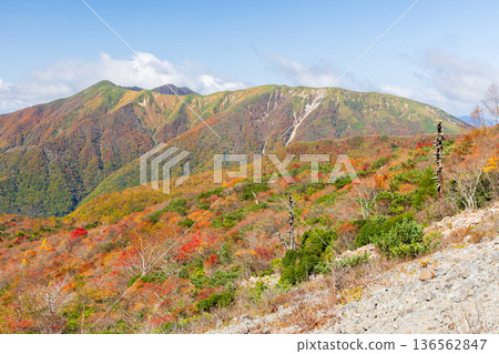 栃木縣那鬚町的秋天－日本百嶽之一，秋葉秀麗的那須山（茶臼山） 136562847