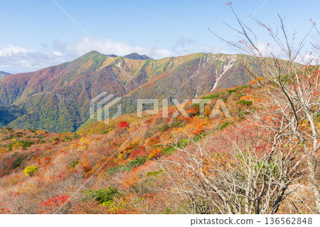 栃木縣那鬚町的秋天－日本百嶽之一，秋葉秀麗的那須山（茶臼山） 136562848