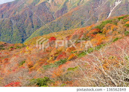 栃木縣那鬚町的秋景。日本百岳之一。那須山(秋葵山)上的秋葉。宇笠平。 栃木縣那鬚町的秋景。日本百岳之一。那須山(秋葵山)上的秋葉。宇笠平。 136562849
