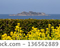 Rape blossoms and Gunkanjima overlooking the sea 136562889