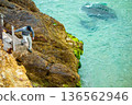 Man climbs onto cliff rocks at base of hiking trail steps by ocean Salema Beach Algarve Portugal 136562946