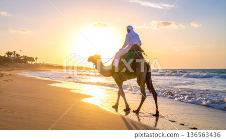 Camel Rider Walking Along Beach at Sunset Camel Rider Walking Along Beach at Sunset 136563436