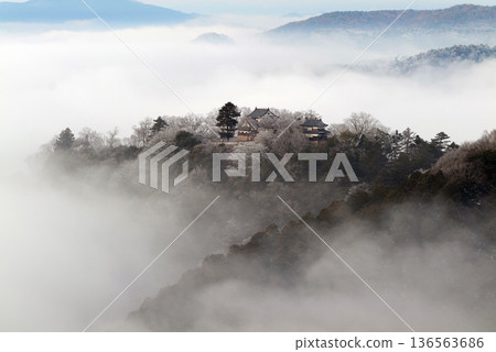 冬季雲海與備中松山城（天空之城）25064 136563686