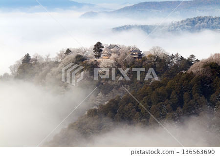 Winter sea of clouds and Bitchu Matsuyama Castle (mountain castle in the sky) 25114 136563690