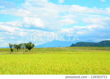 Autumn in Hasagi Countryside Autumn in Hasagi Countryside 136563751