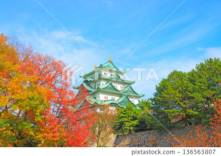 愛知縣名古屋市名古屋城的秋景 愛知縣名古屋市名古屋城的秋景 136563807